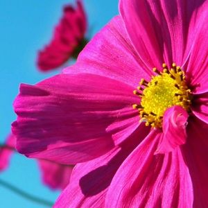 Meet your Posher, Ms. Brown